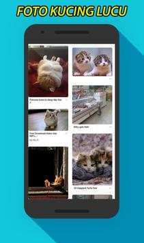 Gambar Foto Kucing Lucu screenshot 1