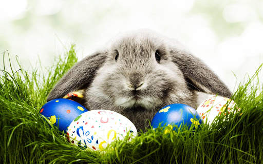 Sfondi HD di Pasqua: sfondi e temi screenshot 13