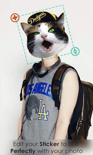Beauty Face:animal face screenshot 5
