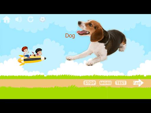 100 Animals and Birds for kids स्क्रीनशॉट 12