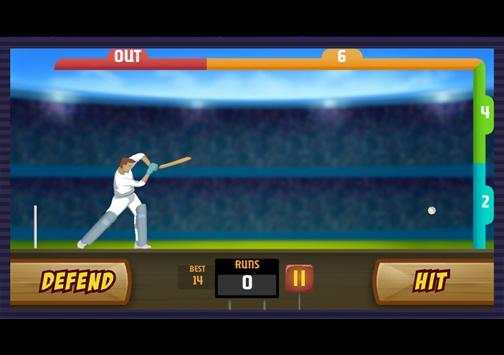 Play-On Cricket screenshot 1