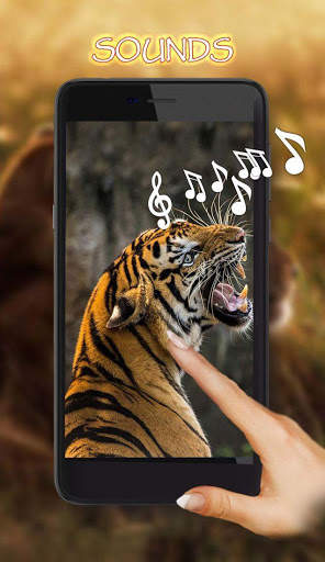 Tigers Live Wallpaper screenshot 1
