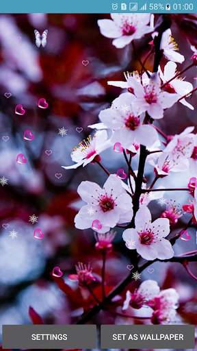 Flower Spring Live Wallpapers screenshot 5