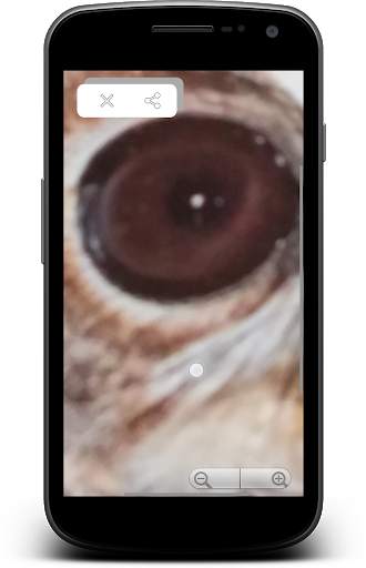 MyLens - Magnifying glass - Camera - Fixed flash screenshot 5