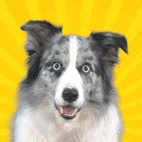 Real Pets™ by Fruwee icon