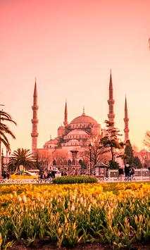 Mosque Wallpapers screenshot 1