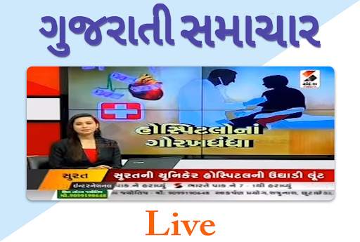 Gujarati News Live screenshot 4