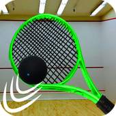 Squash Champion Indoor Ball Sports 1.0