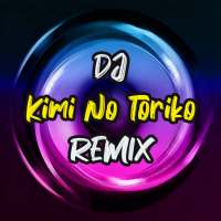 DJ Kimi No Toriko Song logo