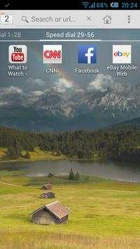 Fortune Web Browser screenshot 3