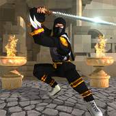 Superhero Ninja Assassin Shadow Battle 1.1