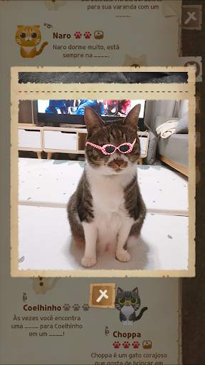 Secret Cat Forest screenshot 6