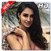 ikon Disha Patani Wallpapers Bollywood Terbaru