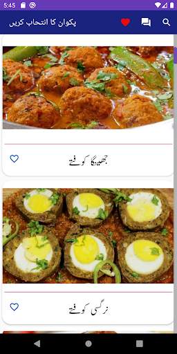 Pakistani Food Recipes In Urdu screenshot 1