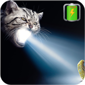 Economy Flashlight icon