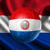 Futbol paraguayo en vivo 9.6