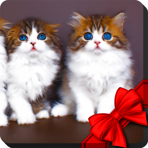 Kittens Live Wallpaper icon