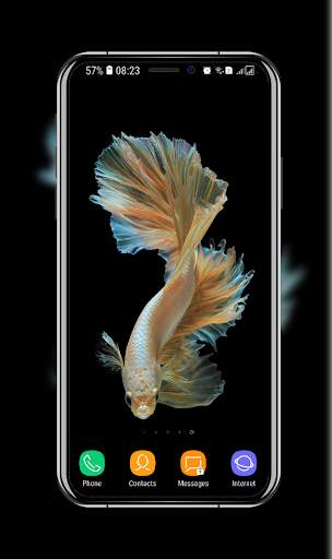 New Betta Fish Wallpaper скриншот 14