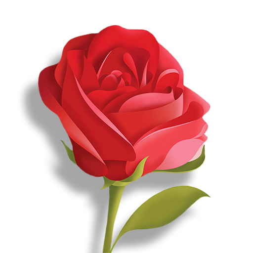 Gallery icon