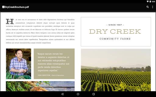Google PDF Viewer screenshot 5
