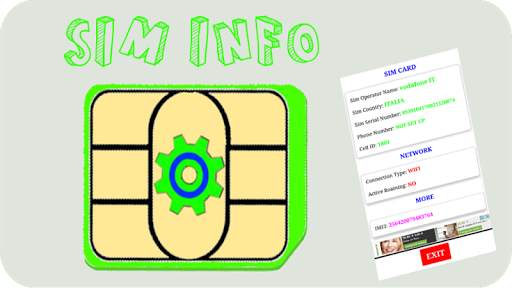 Sim Info screenshot 2