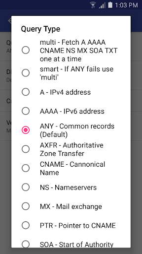 DNS Lookup - With Links screenshot 4