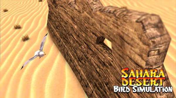 Sahara Desert Bird Simulation screenshot 6