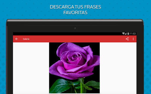 Rosas de Colores para Enamorar 11 تصوير الشاشة