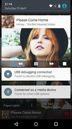 PlayerPro Red Fusion Skin 8 تصوير الشاشة