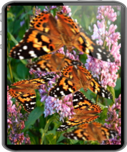 Butterfly Live Wallpaper LWP screenshot 1