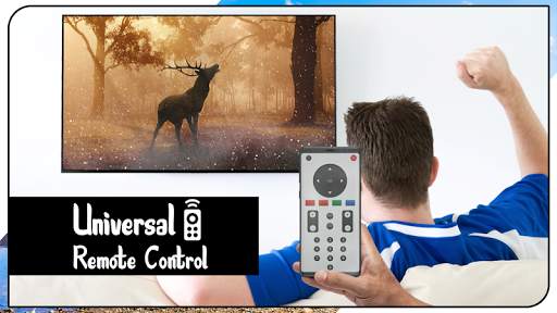 Universal TV Remote Control screenshot 1