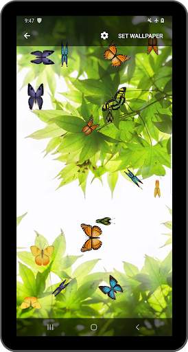 Butterfly and Blossom live wallpaper screenshot 7