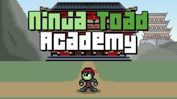 Ninja Toad Academy screenshot 1