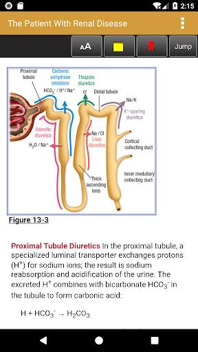 Anesthesiology, Third Edition screenshot 6