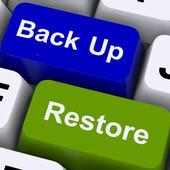Backup Manager on 9Apps