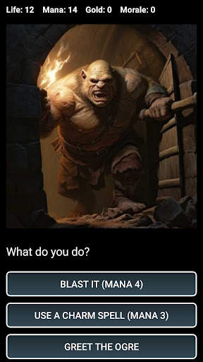 Dungeons and Decisions RPG screenshot 1