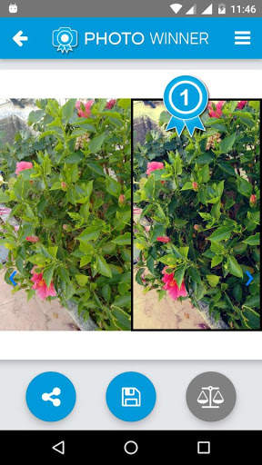 PhotoWinner, mejora tu foto en un solo clic screenshot 6