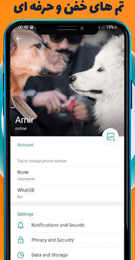 gb what plus messenger screenshot 2