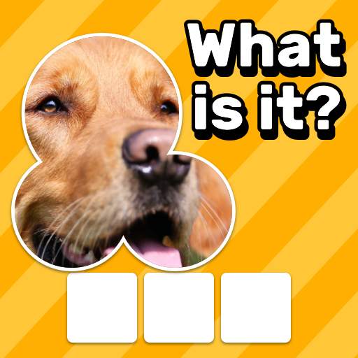 Zoom Quiz: Close Up Pics Game 3.8.0