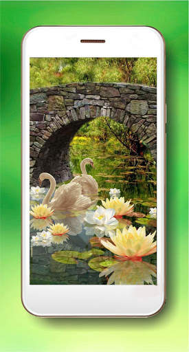 Swans and Lilies LWP स्क्रीनशॉट 2