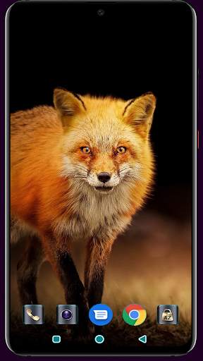 Fox Wallpaper 4K Latest screenshot 7