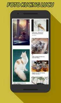 Gambar Foto Kucing Lucu screenshot 5