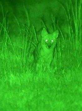 Night Vision Thermal Color Filter Effect CameraLit screenshot 3