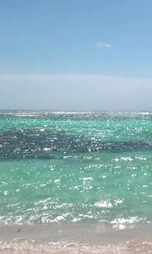 Hot summer and the sea screenshot 3