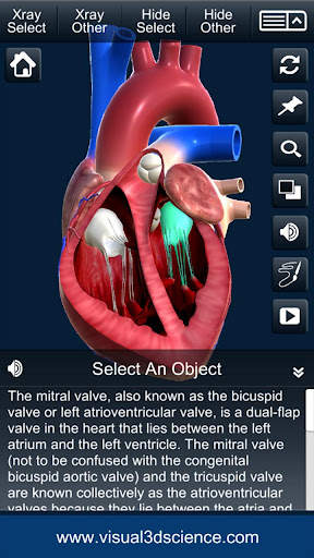 My Heart Anatomy screenshot 8