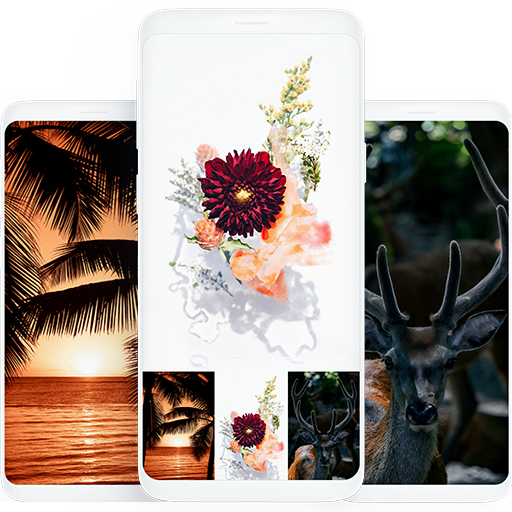 Wallpapers HD &amp; 4K Backgrounds icon