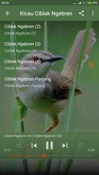 Suara Burung Ciblek Kristal Gacor screenshot 4