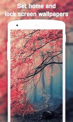 Autumn Wallpaper (4k) screenshot 2