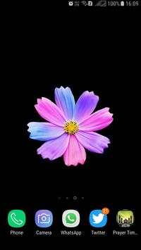 HD Background Flower Wallpaper screenshot 7