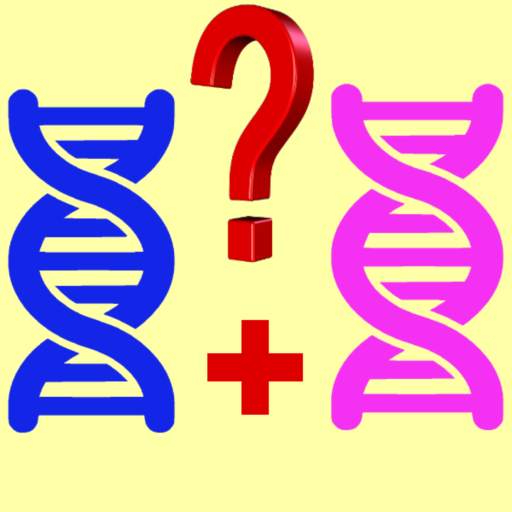 QUIS. Family Genetics. 4.0